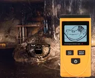 chernobyl clicking_sounds elephant's_foot geiger_counter nigger nose_ring radiation v:a24 v:impjak // 2000x1648 // 1.6MB